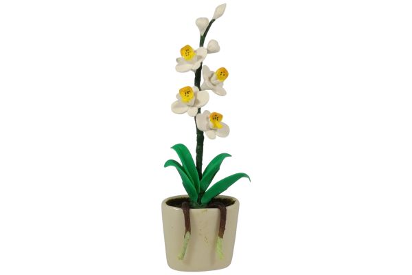 Creal Miniatur Orchidee weiß im ovalen Blumentopf