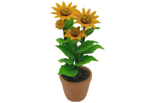 Creal Miniatur Sonnenblumen im Topf