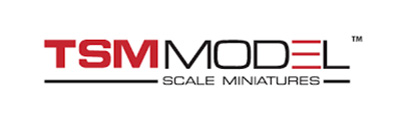 TSM-Models